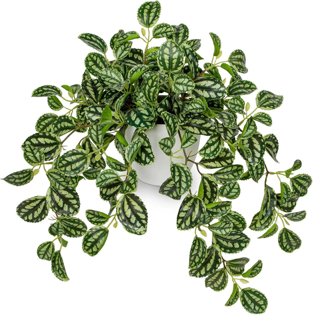 Artificial Potted Plant Faux Watermelon Peperomia Trailing Vine Home Decor