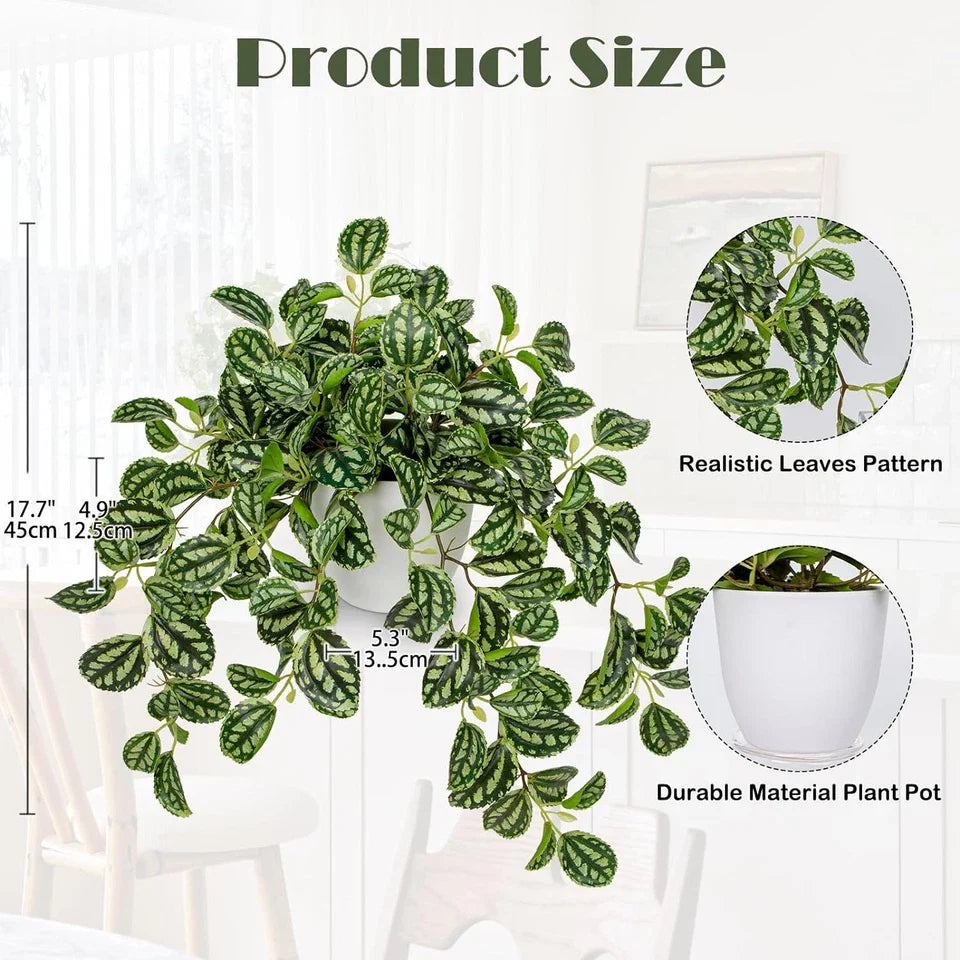 Artificial Potted Plant Faux Watermelon Peperomia Trailing Vine Home Decor