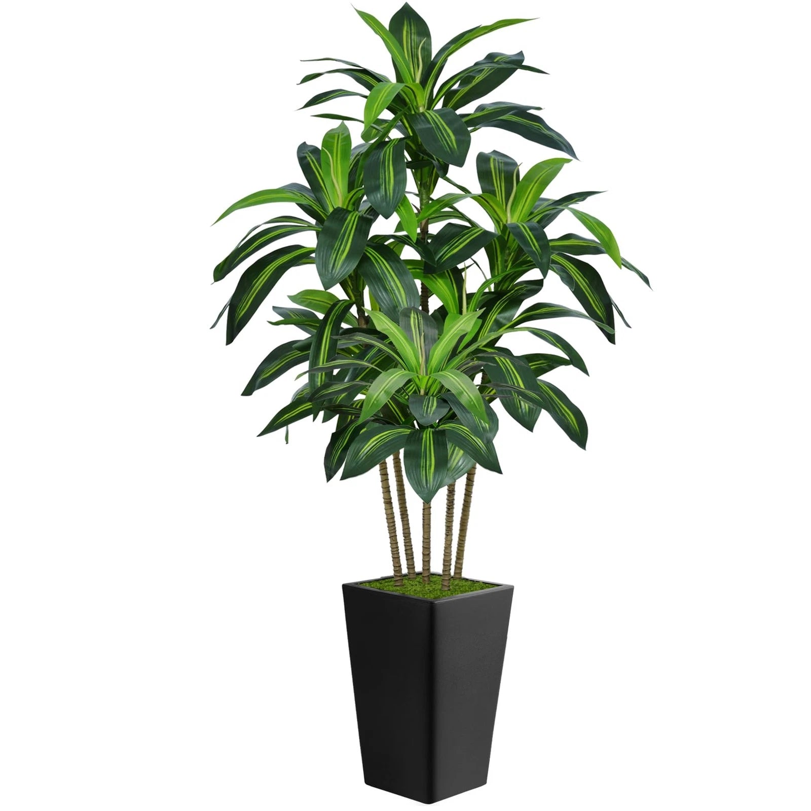 6FT Artificial Dracaena Tree, Fake Tree Indoor with Black Tall Planter
